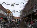 TN_PB270182.JPG
