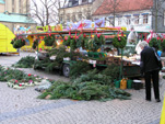 TN_PB270227.JPG
