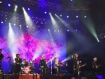 TN_016.jpg